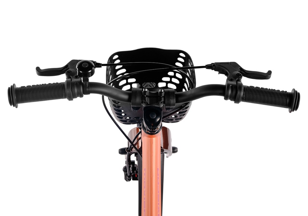 Maxiscoo JAZZ Pro 16'' (2025)
