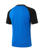 Футболка игровая Jogel Camp Striped Jersey, синий Z2/черный 99