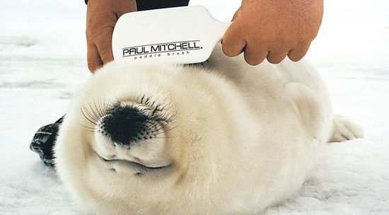 Вместе скажем "нет" тестированию косметики на животных!