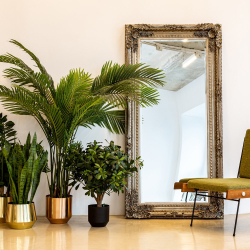 Настенное зеркало Маркиза Объект мечты