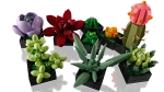 Конструктор LEGO Botanical Collection 10309 Суккуленты
