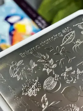 Пластина для стемпинга Enigmanic Stamping №030