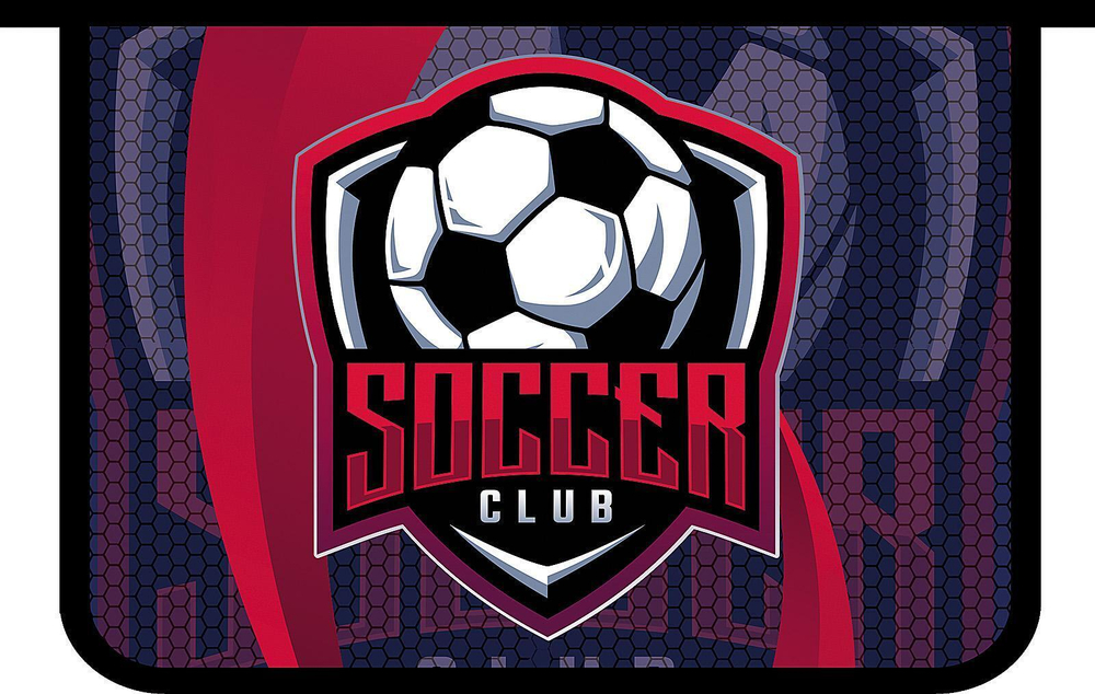 Папка для тетрадей А4 пластиковая, молния сверху "Soccer 2023" печать на картоне (Пчёлка)