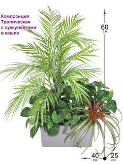 Композиция Тропическая из растений в кашпо