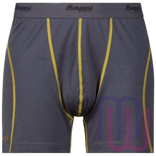 Боксеры мужские Bergans Fjellrapp 1972