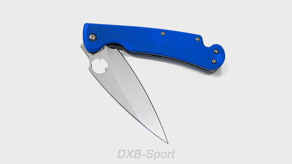 Daggerr Sting Blue SW