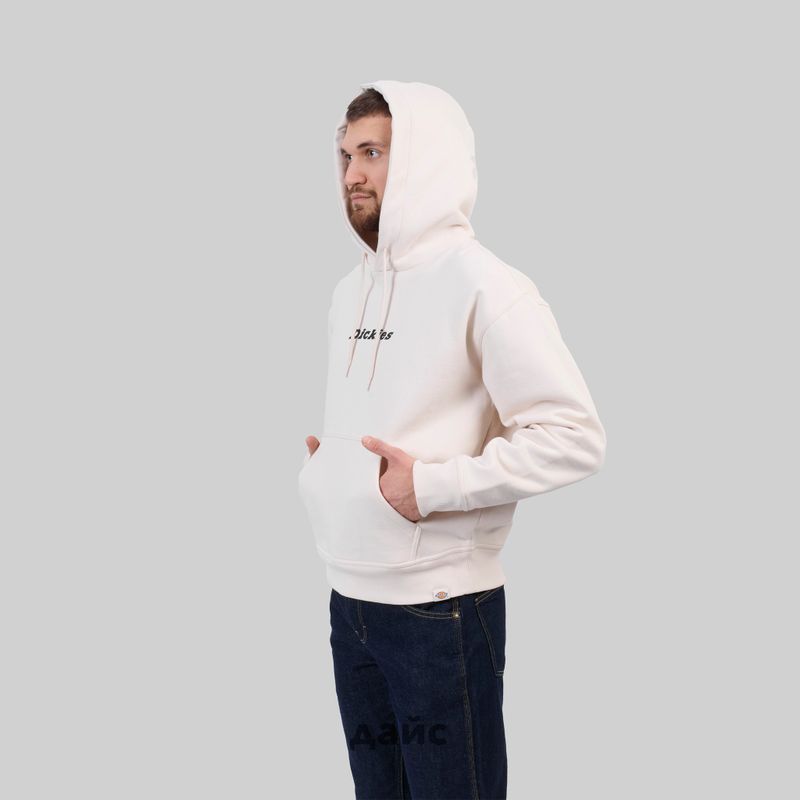 Толстовка мужская Dickies Enterprise Hoodie артикул:DK0A4Z2NF901 - купить в магазине Дайс