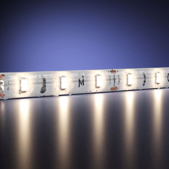 Светодиодная влагозащищенная лента Maytoni 4,8W/m 60LED/m 2835SMD дневной белый 5M 201007