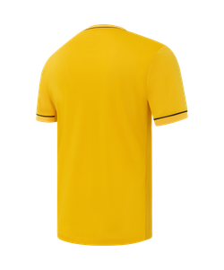 Футболка игровая Jogel DIVISION PerFormDRY Element Jersey 26-K, желтый 61