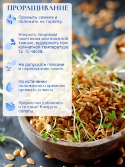 Набор органических семечек тыквы 1 шт и белого льна 2 шт