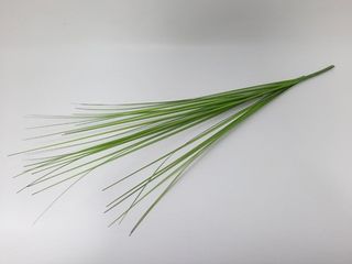 Искусственная трава