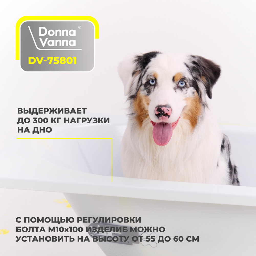Ванна стальная 1,7*0,7*0,4 (ВИЗ) Donna Vanna форма Аула, цв.белый (ОР-81200)