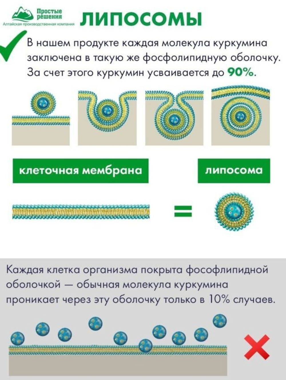 Липосомальный куркумин БЕРБЕРИН для ПОХУДЕНИЯ