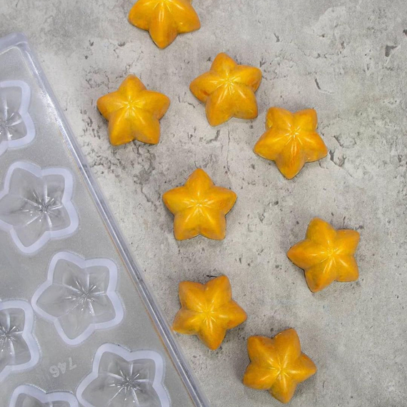 746 | Форма для шоколадных конфет &quot;Физалис&quot; (275*175 мм)