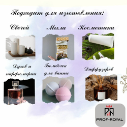 Prof-Royal отдушка парфюмерная CUIR ET CHIC для свечей, мыла и диффузоров, 100 мл