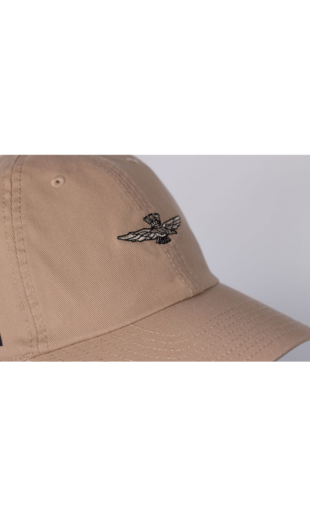 Кепка с вышивкой логотипа AERONAUTICA MILITARE