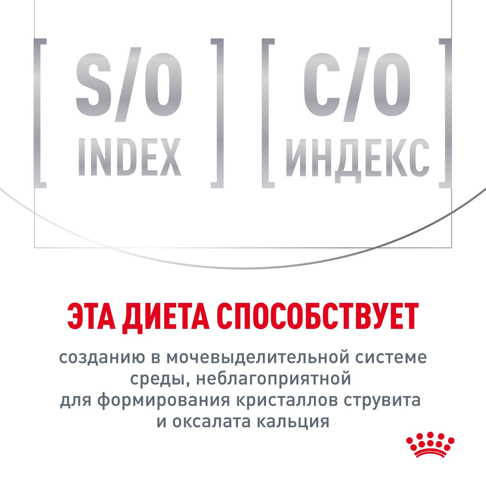Royal Canin Skin & Coat Скин энд Коат Корм сухой диета для кошек поддержание здоровья кожи и шерсти 1,5кг