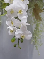 Композиция в напольной вазе "Орхидея"