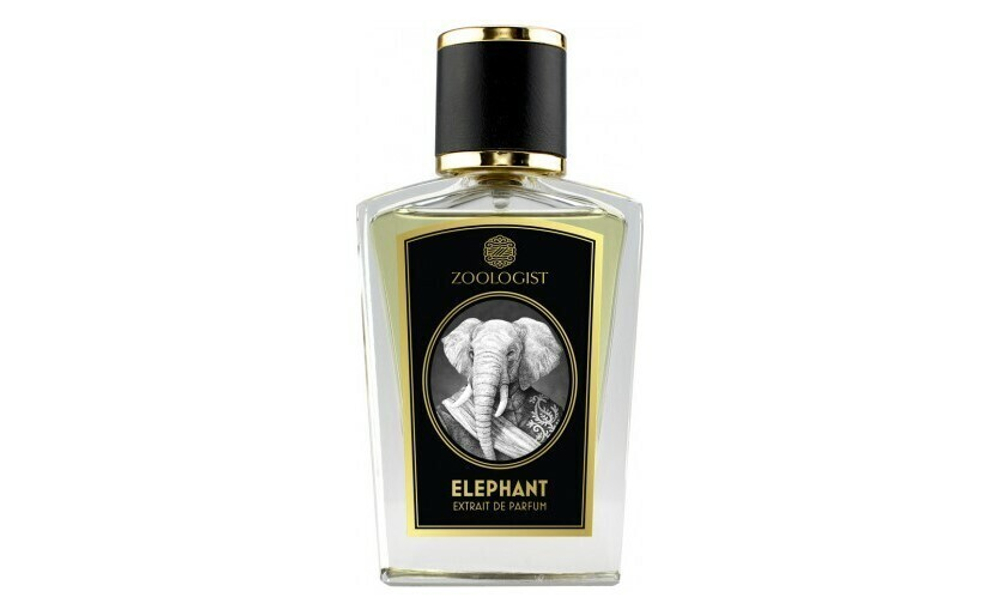 Zoologist Elephant