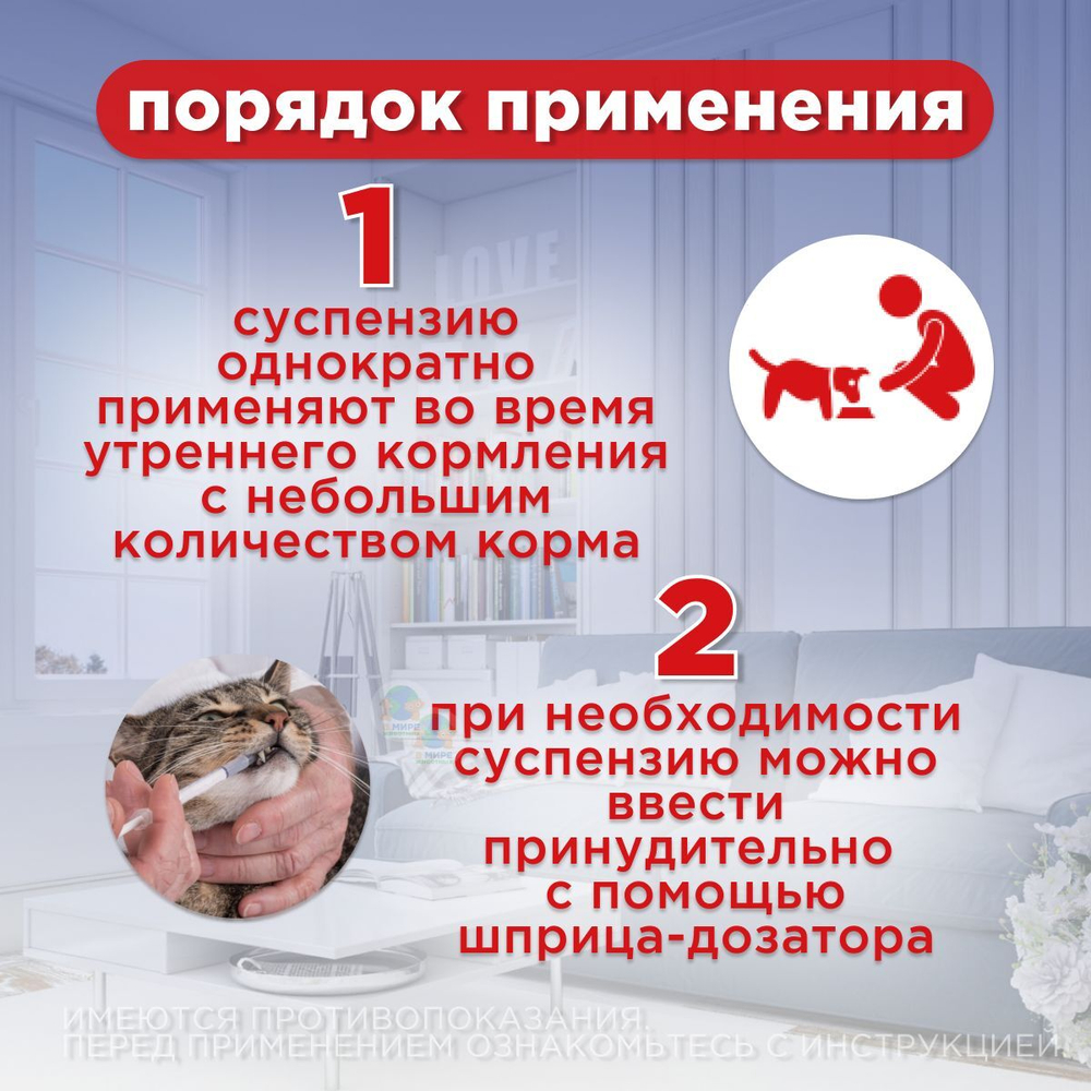 Суспензия для кошек от всех видов гельминтов и глистов АВЗ Диронет со шприцом дозатором, 15 мл пирантел/ празиквантел/ ивермектин