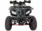Квадроцикл WELS Thunder 200