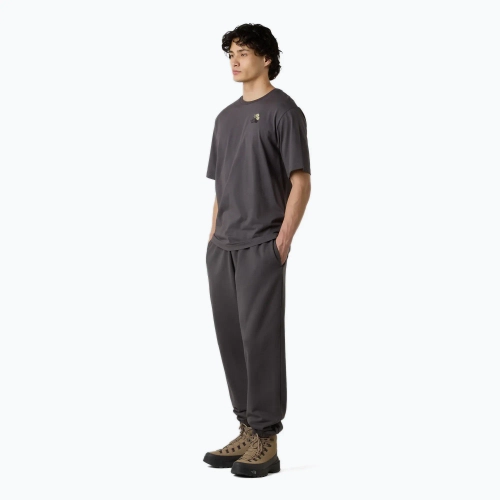 Футболка The North Face Flower Dome Relaxed Graphic темно-серая