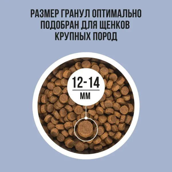 Сухой корм BOWL WOW для щенков крупных пород с ягненком, индейкой, рисом и добавлением черники