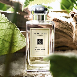 Отдушка по мотивам Jo Malone London — Wood Sage & Sea Salt unisex ХИТ