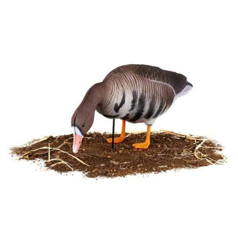 Комплект чучел Белолобый (10шт) S-XPE B622-3D "North Way"