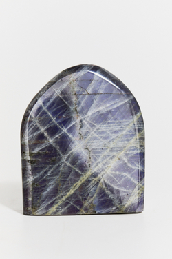 Срез Лабрадора M