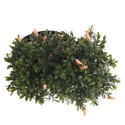 GAEM Цветочная композиция, L26 W20 H25 см