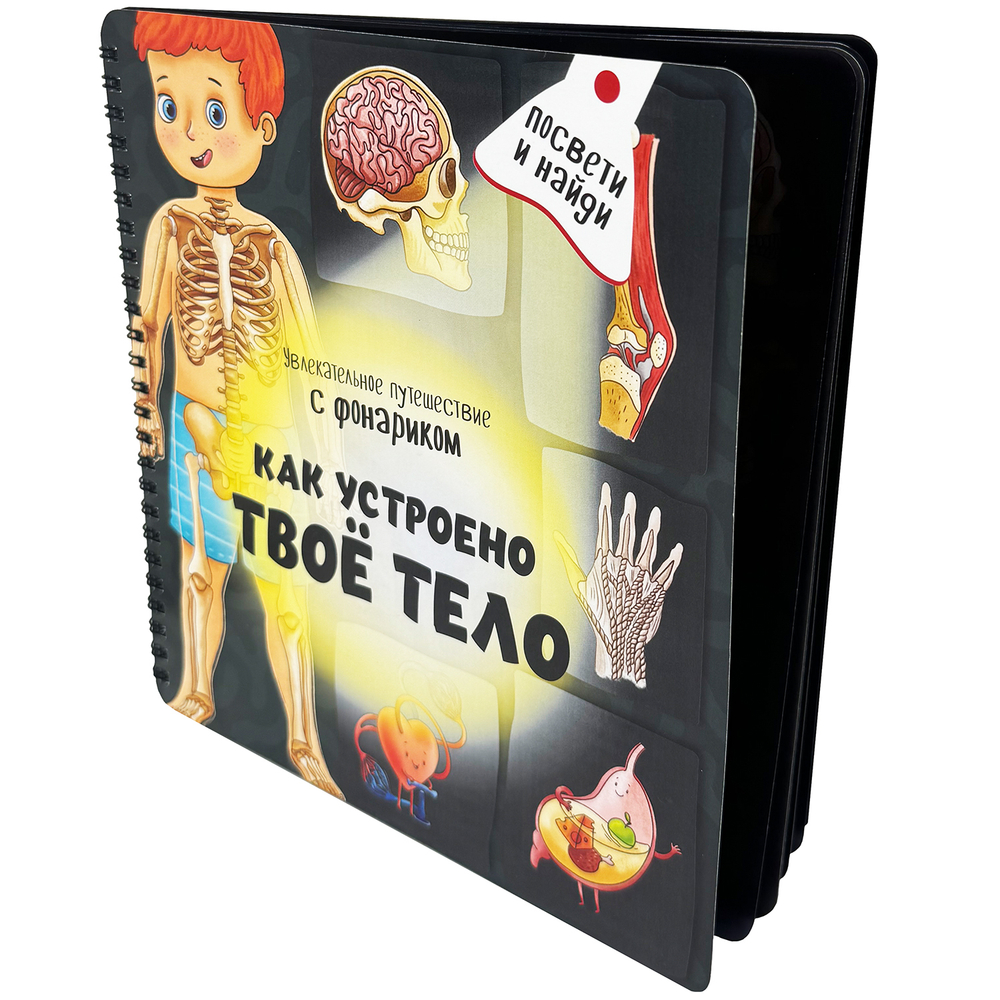 Книжка с фонариком "Как устроено твое тело"