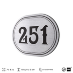 Номерок на дверь квартиры 251, для кабинета, офиса, шильдик 9 х 7 см, серебристый, Айдентика Технолоджи