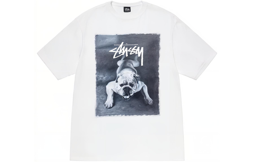 Футболки Stussy FW22 T, 1904844