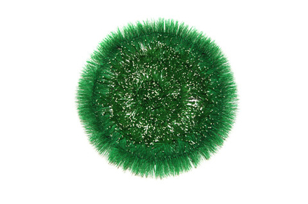 В81 Тарелка пленка