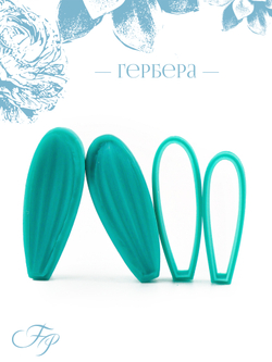 Гербера