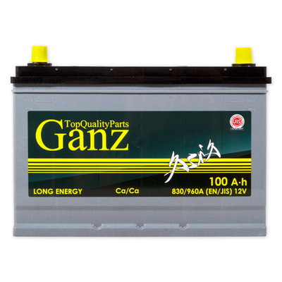 Аккумулятор GANZ ASIA 100 А/ч обратный R+ 304x173x220 D31 EN 830 А