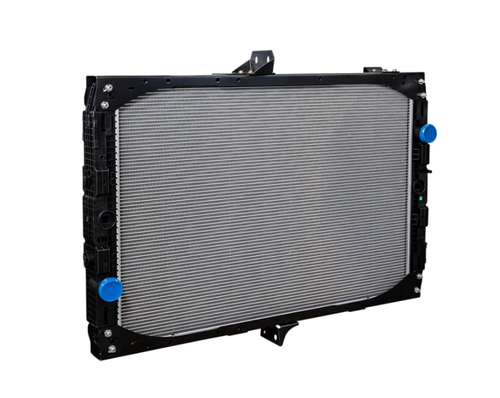 Радиатор (с рамкой) DAF (1326966) SORL