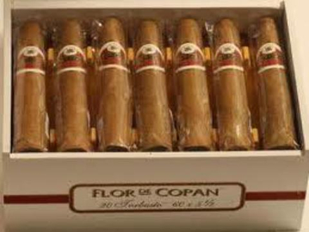 Flor de Copan Torbusto