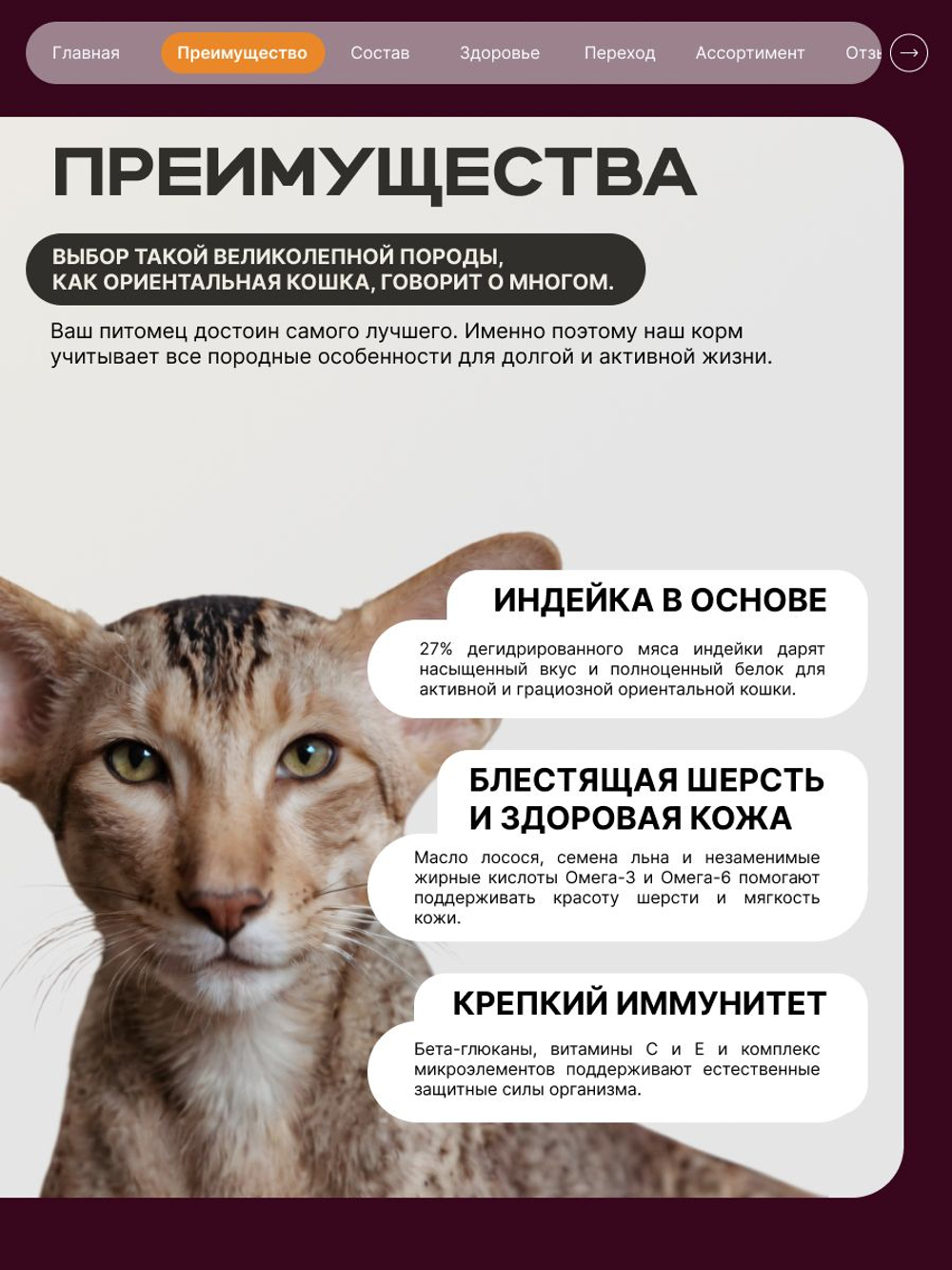 Корм сухой для кошек породы Ориентальная кошка, с индейкой, 400 гр, QUATTRO