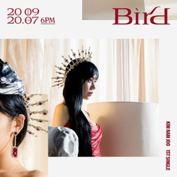 Альбом Kim Namjoo (Apink) - Bird 1st Single Album