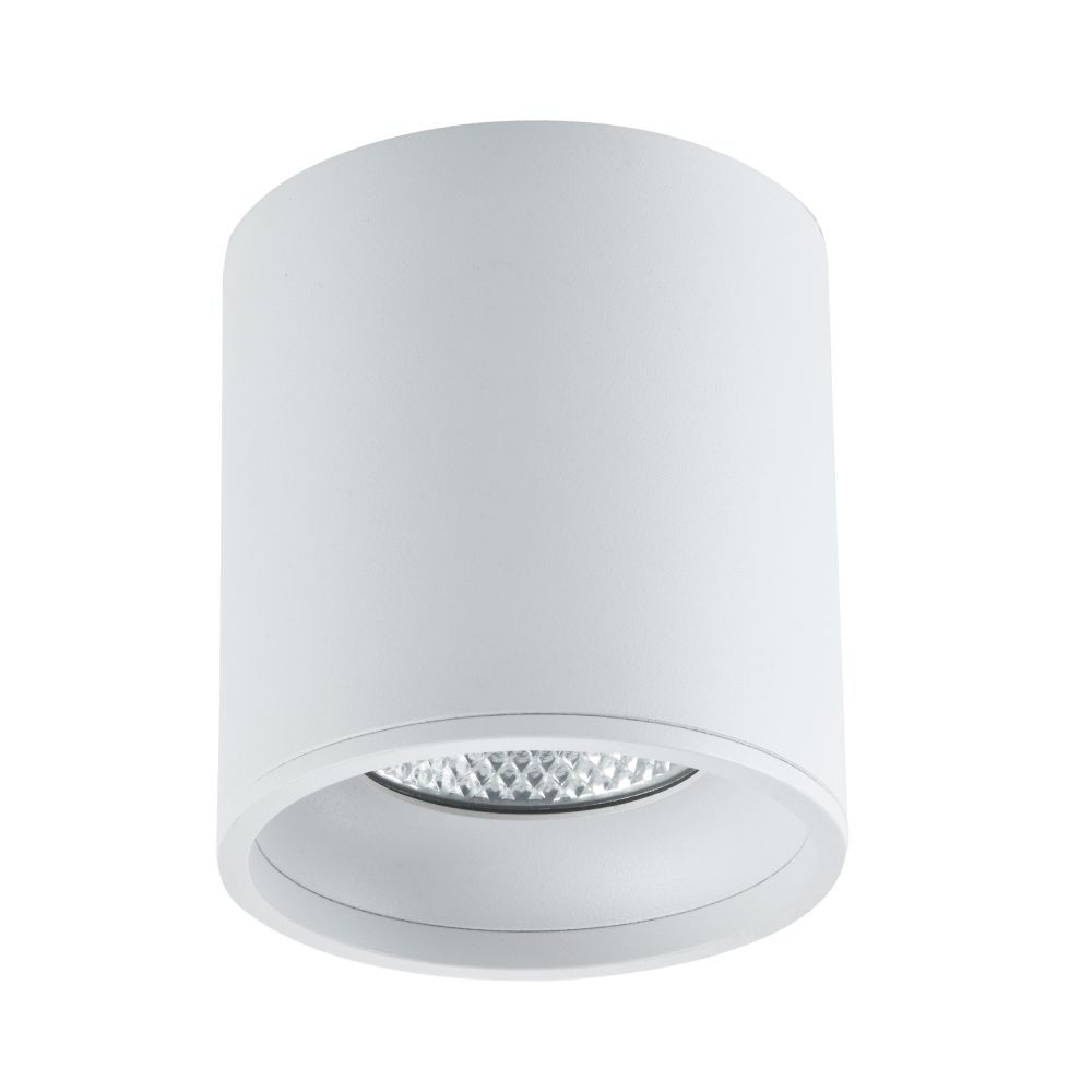 ST165.542.12 Светильник потолочный Белый LED 1*12W 4000K 840Lm Ra&amp;gt;90 36° IP44 D80xH100 85-265V Накладные светильники