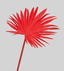 TR 610 Пальмовый лист