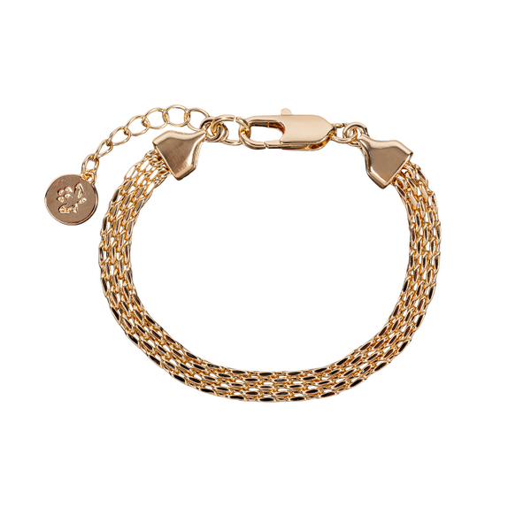 Браслет Fiore Luna Chain Сarabiner CL4510 G