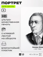 Портрет для школы в кабинет математики "Леонард Эйлер", стенд школьный для класса, деятели науки для оформления классного уголка, 40х30 см, Silver Plane x Айдентика Технолоджи