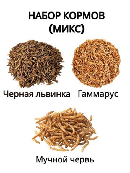 Белковый микс для кормления