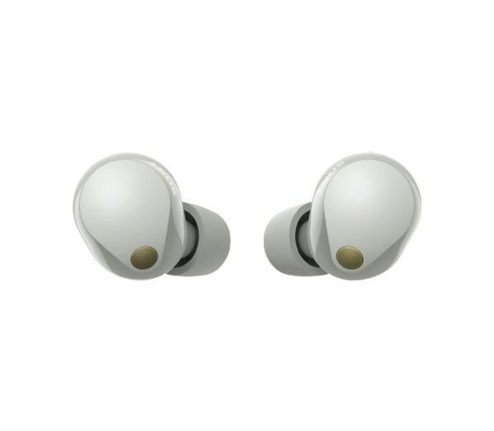 Наушники Sony WF-1000XM5, серебристый (Silver)