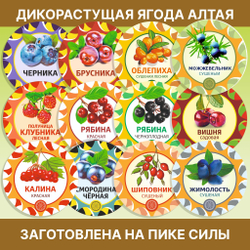 Белый гриб сушеный.