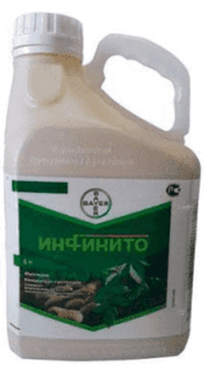 Инфинито,КС