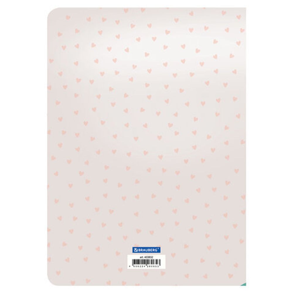 Тетради 60 л. в без линовки обложка SoftTouch, НАБОР 2 шт., бежевая бумага 70 г/м2, сшивка, B5 (179х250 мм), ROMANTIC, BRAUBERG, 403832